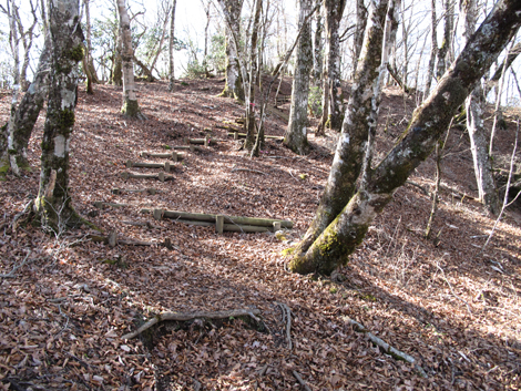 20161206hike (231)